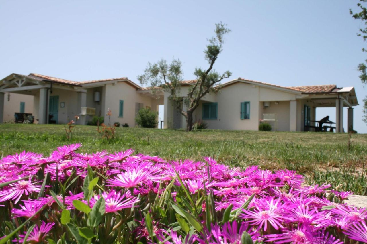 Agriturismo Podere 678 Grosseto Buitenkant foto